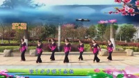 杨丽萍广场舞需要你陪火火的中国风变队形编舞春英