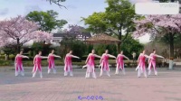 杨丽萍广场舞2017最新广场舞佳木斯快乐舞步健身操第二套