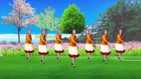 2014-031（04-09德阳惠蓉广场舞相约西藏