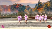 星湖101广场舞 12人队形版《幸福舞起来》47