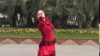 动感时尚的拉丁恰恰舞步《小狐仙》杭州玫瑰广场舞