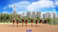 河南洛阳幸福天天广场舞《中国梦》团队版水兵舞