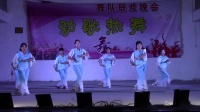 树森渡舞队《溺水三千》莲塘湖村广场舞联欢晚会2019年2月24日。94