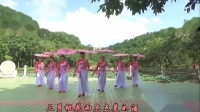 靓丽广场舞-----【三月桃花雨】队形版    表演：粤跳粤美健身队