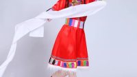君晓天云藏族舞蹈演出服装女成人新款秋冬民族风广场水袖卓玛西藏表演短裙