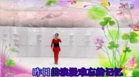 (18)2015TQTB瑶瑶姐妹广场舞（我的快乐就是想你）演示、制作：冰雨