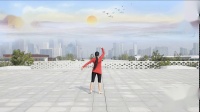 《中国脊梁 正背表演与动作分解 个人版》张春丽广场舞_21