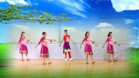 天涯广场舞《藏家乐》正面教学 简单民族舞