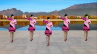 经典老歌广场舞《三笑》简单恰恰舞步，动作优美又好听！