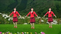 舞动广场舞《打猪草》选段对花，经典黄梅戏，真好听！