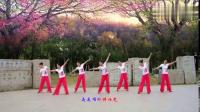 安徽淮南冰羽舞队《月亮的味道》古典舞编舞沚水老师