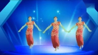 精选印度舞《动感桑巴》妃子红广场舞，别样的舞姿，太赞了