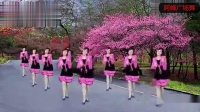 广场舞《粉红色的回忆》舞姿曼妙，衣裙飘飘