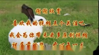 代玉广场舞《兔子舞中文版》8步舞儿童版