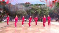 重庆冰彩广场舞《水月亮》空港队《编舞叶子》
