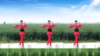 广场舞：《新天仙配》32步附分解_腾讯视频