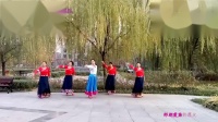 潍坊馨雨广场舞《草原恋》团队午后骄阳编舞