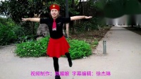 广州太和珍姐广场舞《红马鞍》水兵舞双人对跳