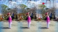 李春花魅力广场舞队《阿玛佛心上的一朵莲》