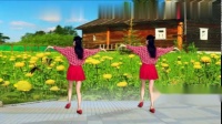 32步广场舞《花蝴蝶》好听好看，妹妹就像花蝴蝶飞呀飞！