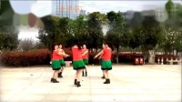 赣州康康广场舞队《阿表DJ》《圈圈舞》原创加分解动作