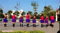 经典2019_入门广场舞《双人对跳》，笑春风团队的姐妹们跳的真好看！