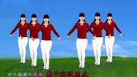 徐州精典影视传媒燕子广场舞《女人不是罪》送给你 简单32步 附教学分解动作