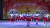 上西埇舞队《全民迪士科》社村村陇西堂进祖广场舞联欢舞会2019.2.27日270