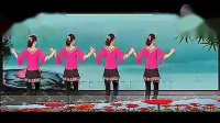 中老年广场舞 最炫中国梦 示范动作分解