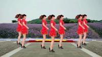 玫香广场舞《社会摇》16步网红步子舞！