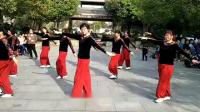 荷香广场舞团队在茗园天府小公园表演的～赶圩归来阿里里