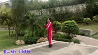 陆川叶青广场舞《临洮姑娘花一样》演示和分解动作教学 编舞叶青
