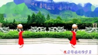 梅子广场舞《红枣树》