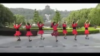 2017最新花儿这样红 背面 分解 团队-广场舞大全-_标清