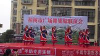 樟树贮木场小区舞蹈队《想西藏》樟树市广场舞姐妹联谊会 2019年5月19日