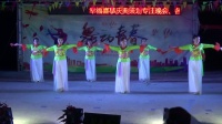 低水梨木巷舞蹈队《桃花珺珺杨柳依》2019白坭村年例广场舞联欢晚会