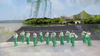 丽人广州小兔子广场舞队桃花珺珺杨柳依团队版广场舞基础教学