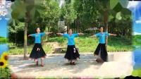 285-邯郸市舞之缘广场舞《藏家乐》团队版 编舞 梅子