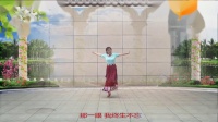 兰州春韵广场舞—藏族舞《那一年那一世》编舞 花与影