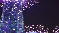 😄鼎盛财源广场舞：新加坡鱼尾狮公园夜景