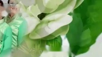 踏歌广场舞-《好一朵茉莉花》 视频