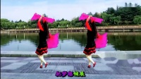 吕芳广场舞简单扇子舞《红红的中国结》正背面及分解动作-_超清