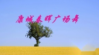 康城春晖广场舞  舞蹈：红枣树 （三人表演）