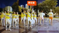 动感广场舞《野花香》，简单易学十分好看，32步广场舞视频大全，强效燃脂暴瘦全身！