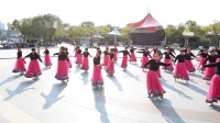 《敖包相会的地方》上海杨浦体育场靓丽姐妹广场舞团队