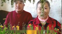 233视频新湖乐队《友谊成功的聚会》-苏飘逸广场舞