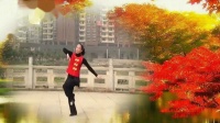 2014羞花教学 高安子君广场舞  我的蒙古马 （爱吾） 背面