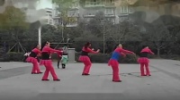 最惊鸿之红牌楼广场舞健身队  我的蒙古马