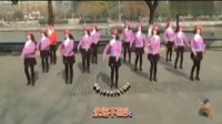 2016广场舞视频大全 西湖莉莉广场舞自由自在