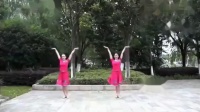 2016广场舞视频大全 蝴蝶的翅膀